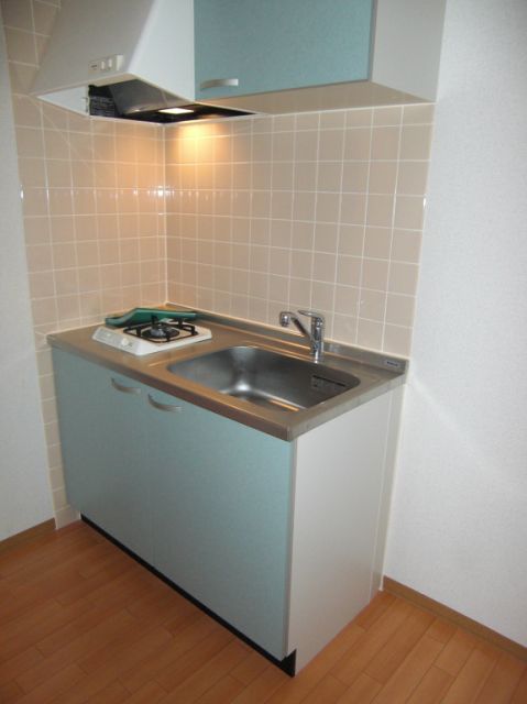 Kitchen. Gas stove with the kitchen.