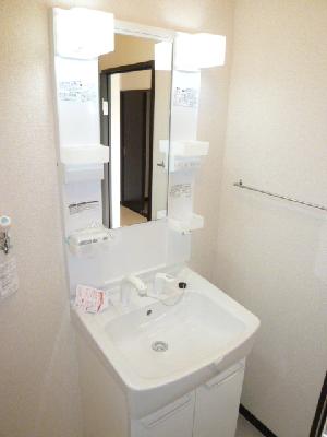 Washroom. Happy vanity in a busy morning