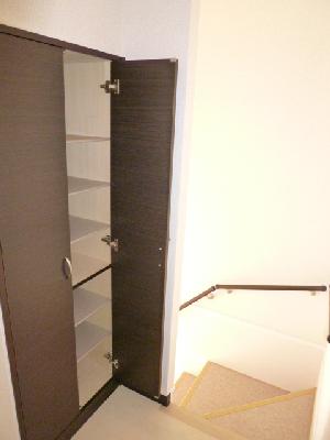 Entrance. With a convenient shoe box