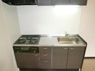 Kitchen. Spacious 3-burner stove kitchen of spread