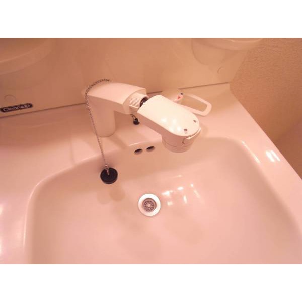 Washroom. Shampoo dresser