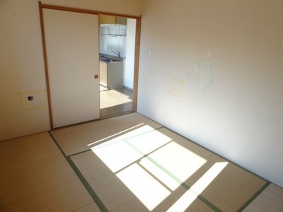 Living and room. Indoor reference photograph