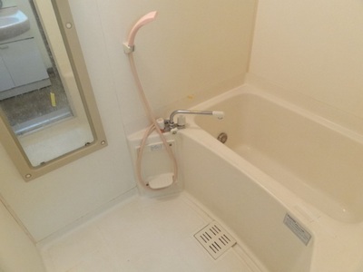 Bath. Indoor reference photograph