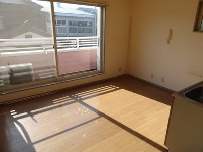 Living and room. Indoor reference photograph