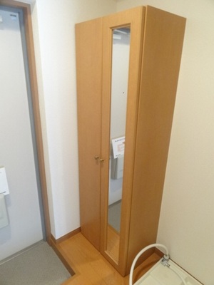 Entrance. With happy full-length mirror in the shoe box! 