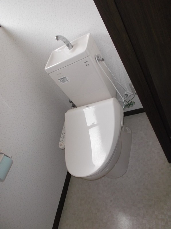 Toilet. Cleaning function with toilet seat