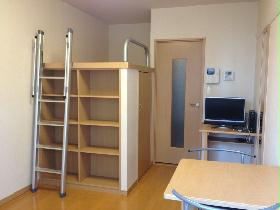 Living and room. There is storage space under the bed