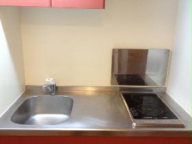 Kitchen. Type with electric stove 2-neck