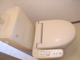 Toilet. With warm water washing toilet seat