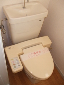 Toilet. Warm water washing toilet seat