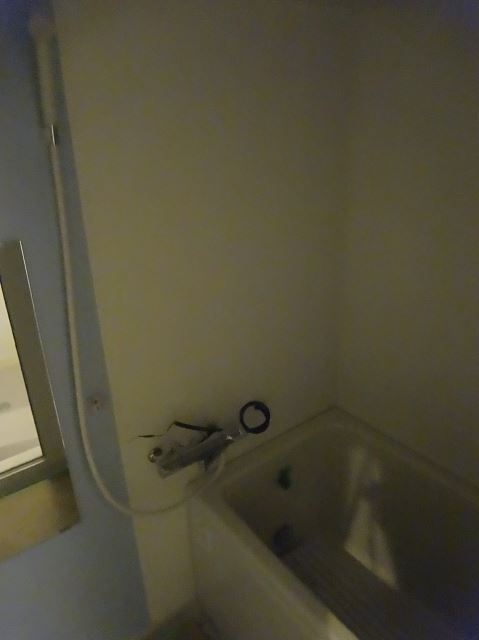 Bath. Bathroom is also in the renewal