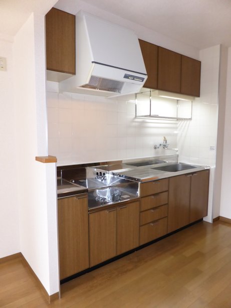 Kitchen. Gas stove to bring the type of kitchen sink