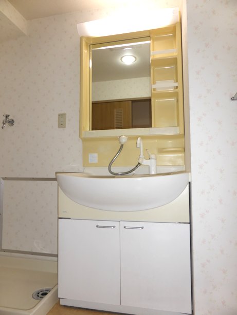 Washroom. A busy morning of a strong ally ・ ・ ・ Hand shower with dresser