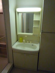 Washroom. Shampoo dresser