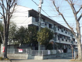 Building appearance. Pet frog apartments