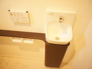 Toilet. Indoor (11 May 2013) with shooting hand washing