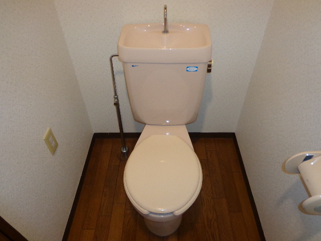 Toilet. ☆ Flush toilet ☆