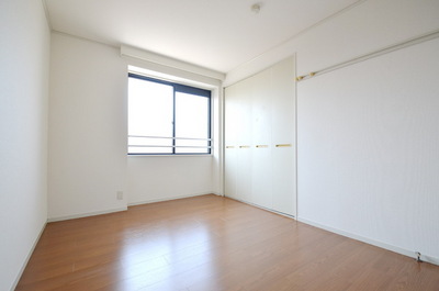 Other. ※ Same type of image is a photo.