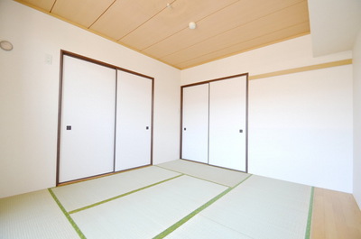 Other. ※ Same type of image is a photo.