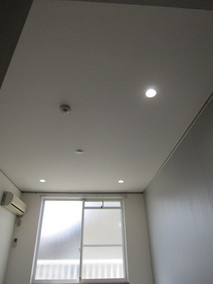 Living and room. It is down light new! 