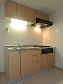 Kitchen. With system Kitchen