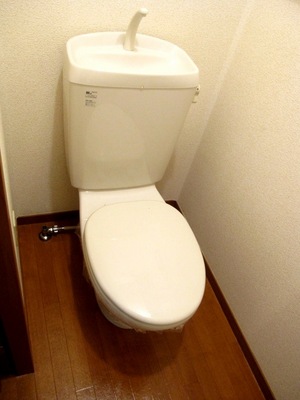 Toilet. Of depth is a spacious toilet!