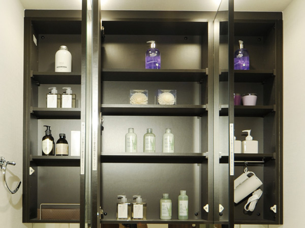 Bathing-wash room.  [Three-sided mirror back storage] Secure storage on the back of a large mirror. Also it has a dryer hook or tissue box space.