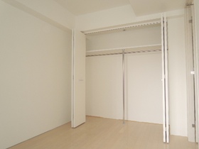 Living and room. A top shelf closet