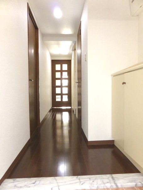 Entrance. Bright entrance hall