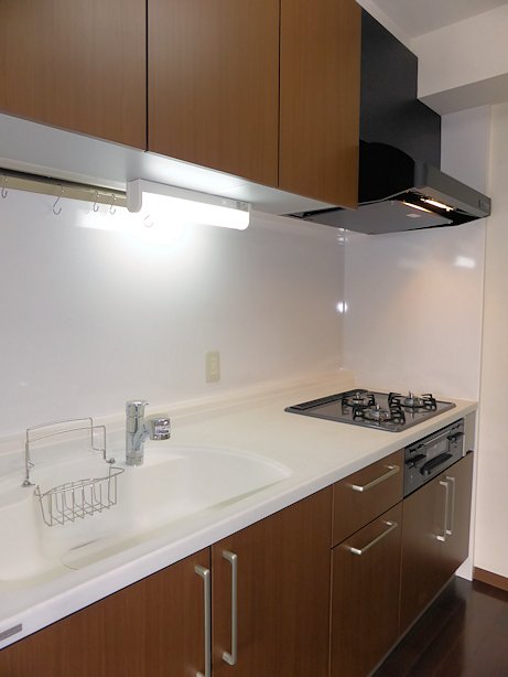 Kitchen. 3-burner stove in the new system Kitchen