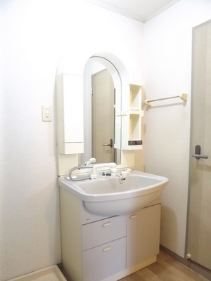 Washroom. Bathroom Vanity