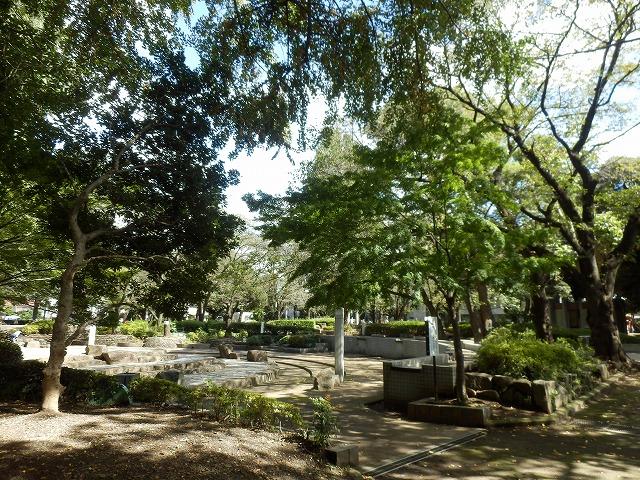 Other local. Tone park Local (10 May 2013) Shooting