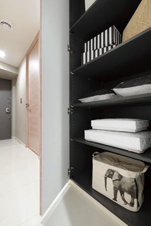 Corridor / Enter those come in handy as a storage of shared