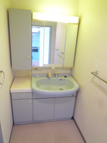 Washroom. Independent wash basin with shampoo dresser