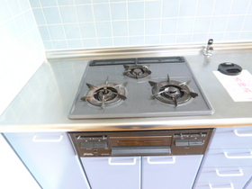 Kitchen. 3-neck is a gas stove with a system Kitchen.