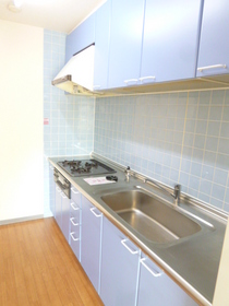 Kitchen. 3-neck is a gas stove with a system Kitchen.