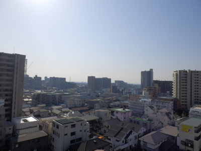 View. View from the balcony