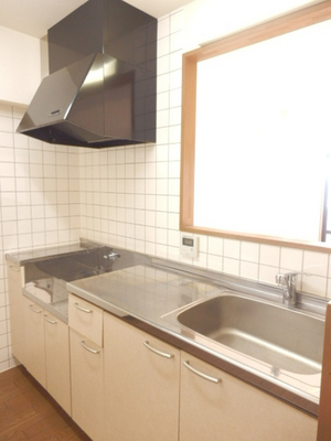 Kitchen. Gas stove installation Allowed