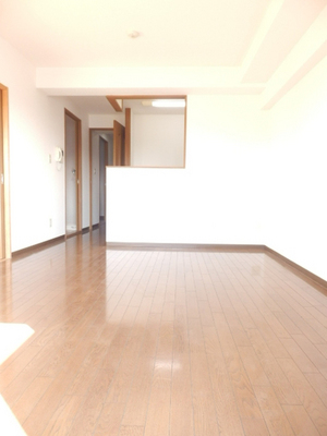 Living and room. Open, bright living