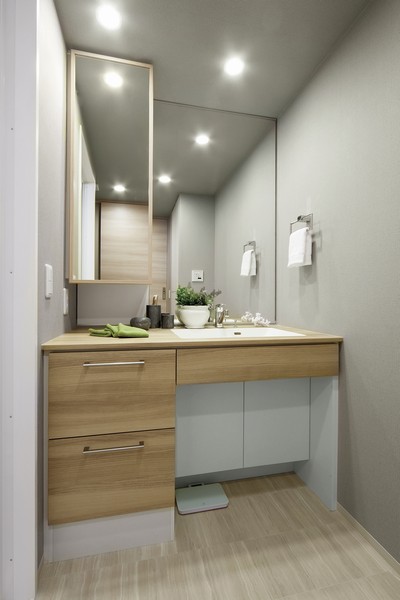 Excellent powder room to design