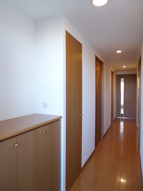 Entrance. Entrance hall, Convenient if there housed in the other shoe box