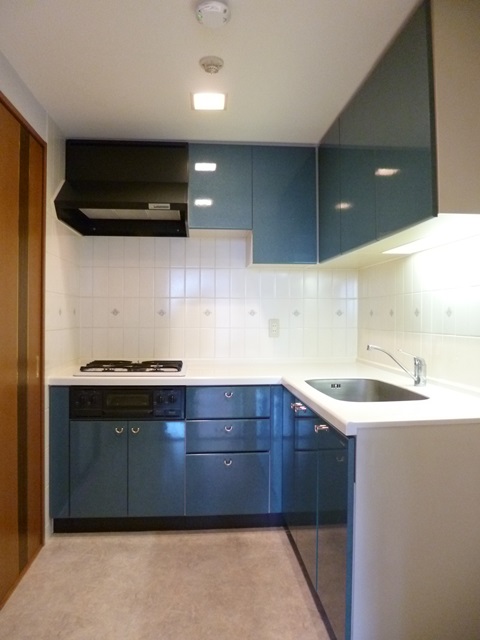 Kitchen. Popular independent L-shaped kitchen to wife