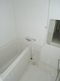 Bath. Bathroom dryer with bus