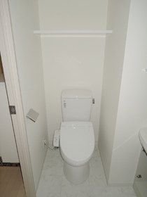 Toilet. Warm water washing toilet seat