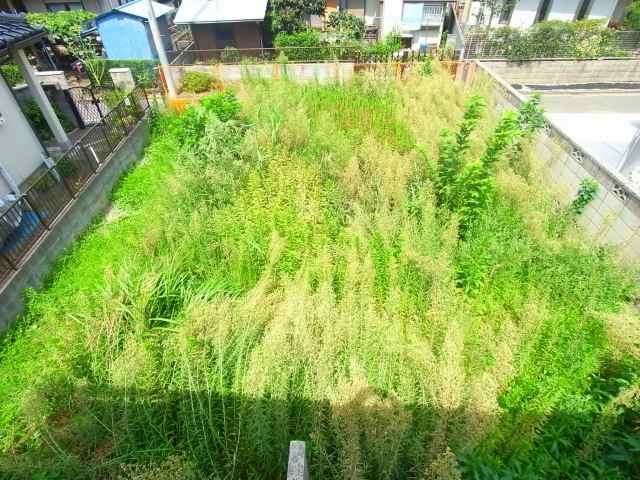 Local land photo. Local (August 2013) Shooting