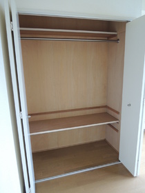 Other. It is a closet.