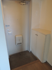 Entrance. It is the front door with a shoe rack.