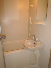 Bath. A toilet in the bathroom