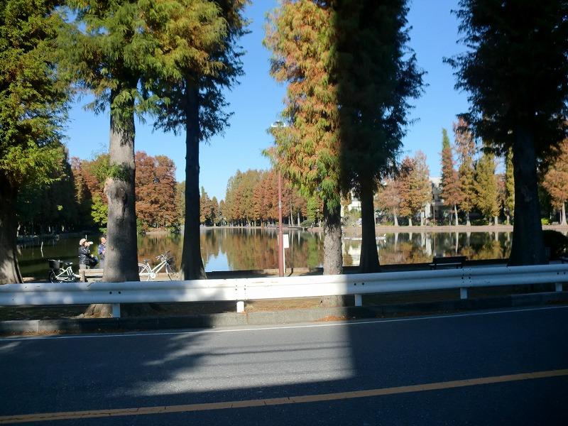 park. Bessho swamp park