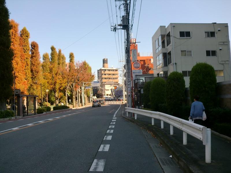 Other Environmental Photo. Nearby streets of Bessho swamp park